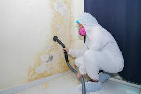 Why You Should Choose Our Mold Remediation Services in Mangonia Park, FL